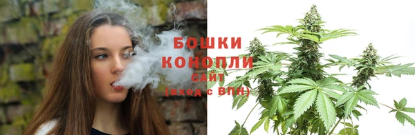 шишки Киренск