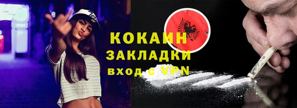 шишки Киренск
