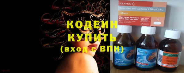 шишки Киренск