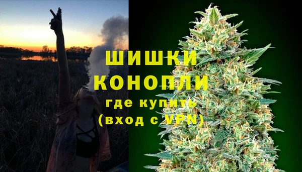 мяу мяу мука Болхов