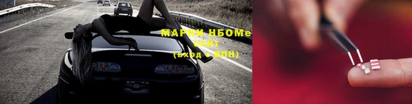 шишки Киренск