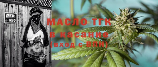 шишки Киренск