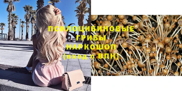 мдпв Киреевск