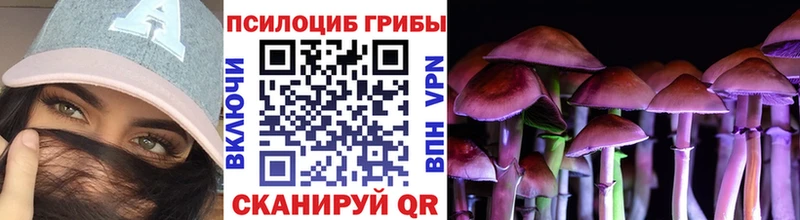 Псилоцибиновые грибы Magic Shrooms  blacksprut ссылки  Мичуринск 