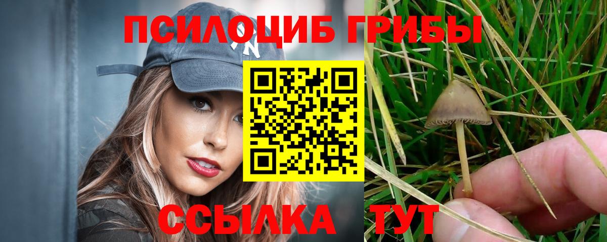 Галлюциногенные грибы Cubensis  Вход с VPN  где купить   Мичуринск 